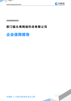 廈門貓頭鷹網絡科技有限公司企業信用報告與綜合實力解析