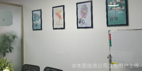 貓頭鷹網絡科技 智慧與夜行的數字先鋒